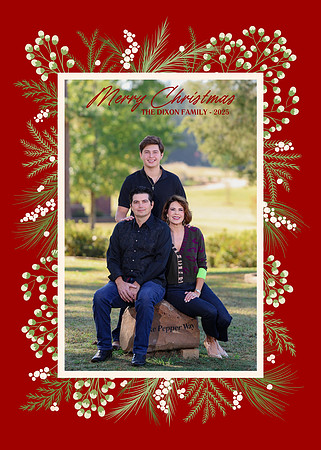 Black and Green Modern Christmas Family Photo Card