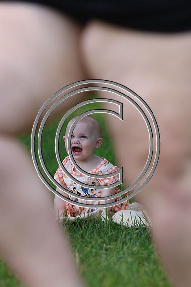 0A3A0733