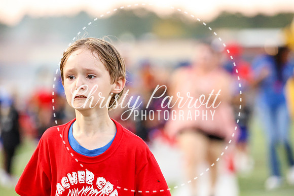 CPP_fb916-8667