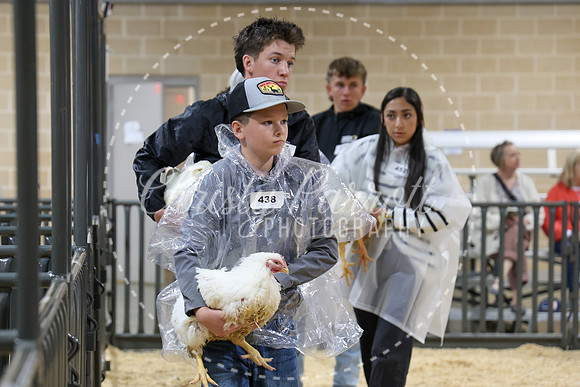 RCYPS26-Chicken-2171