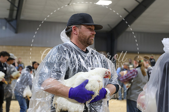 RCYPS26-Chicken-2170