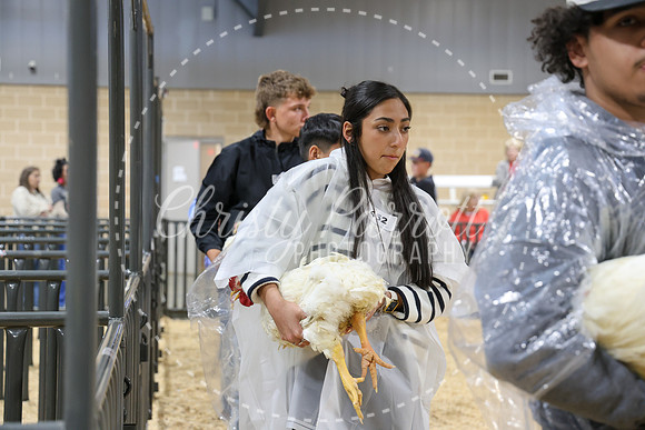 RCYPS26-Chicken-2174