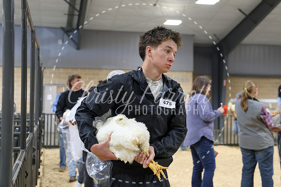 RCYPS26-Chicken-2172