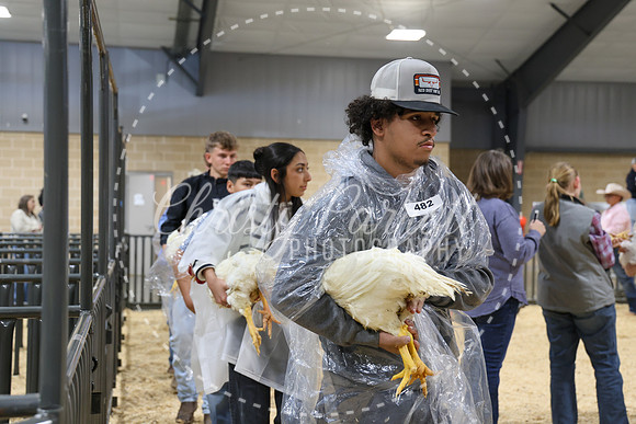 RCYPS26-Chicken-2173