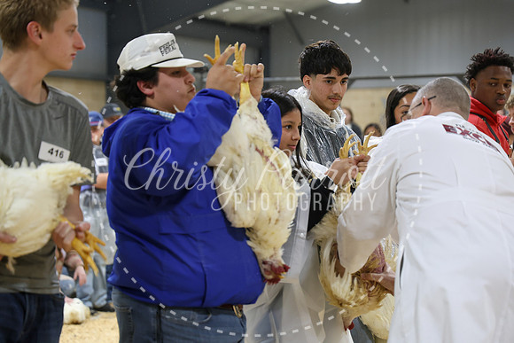 RCYPS26-Chicken-2178