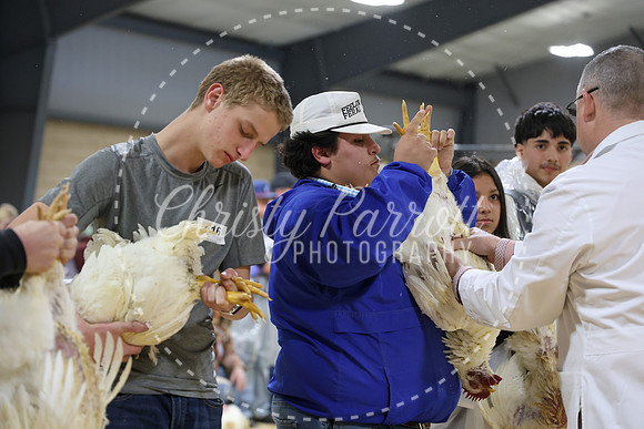 RCYPS26-Chicken-2179