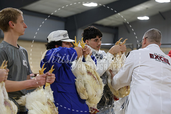 RCYPS26-Chicken-2181