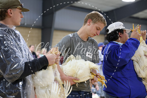 RCYPS26-Chicken-2180