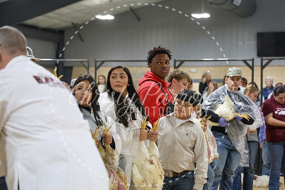 RCYPS26-Chicken-2182