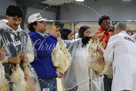 RCYPS26-Chicken-2184