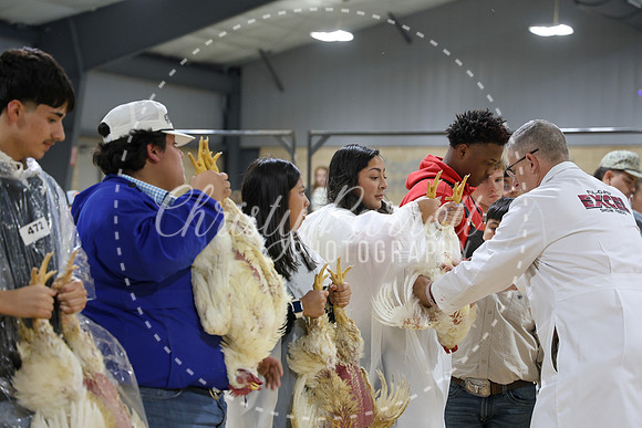 RCYPS26-Chicken-2183