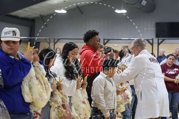 RCYPS26-Chicken-2185