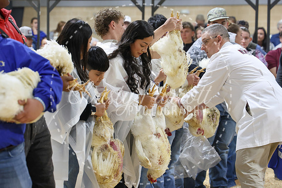 RCYPS26-Chicken-2188