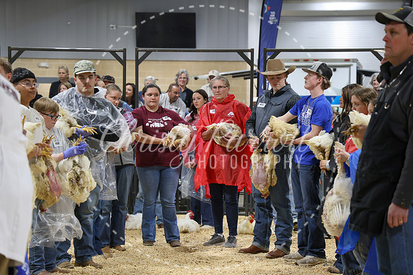 RCYPS26-Chicken-2187