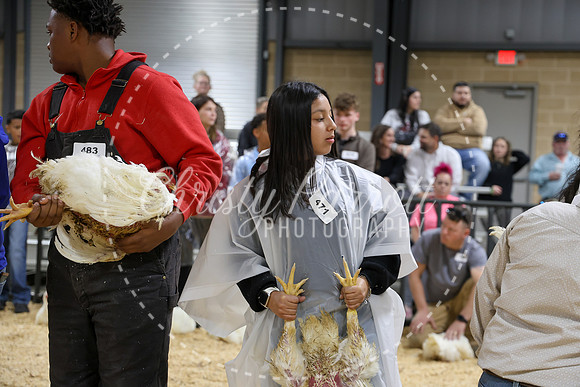 RCYPS26-Chicken-2192