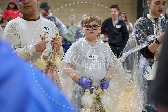 RCYPS26-Chicken-2194