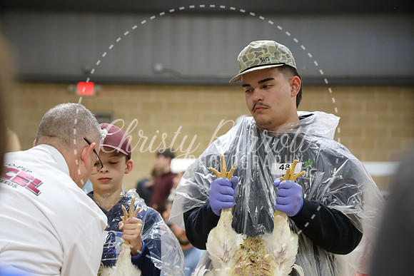 RCYPS26-Chicken-2196