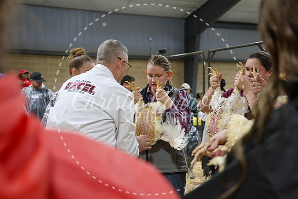 RCYPS26-Chicken-2202