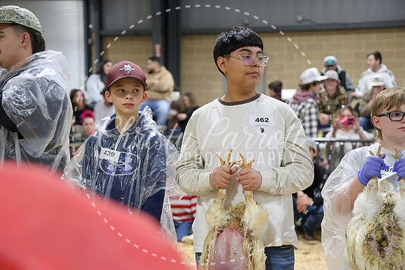RCYPS26-Chicken-2201