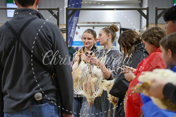 RCYPS26-Chicken-2209