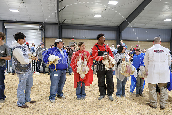 RCYPS26-Chicken-2219