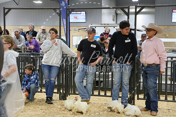 RCYPS26-Chicken-2222
