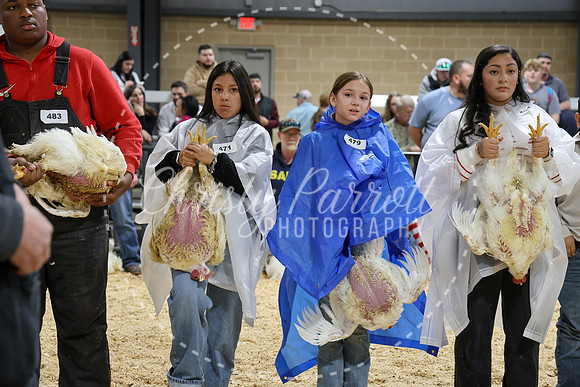 RCYPS26-Chicken-2221