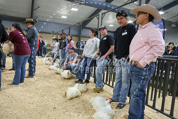 RCYPS26-Chicken-2225