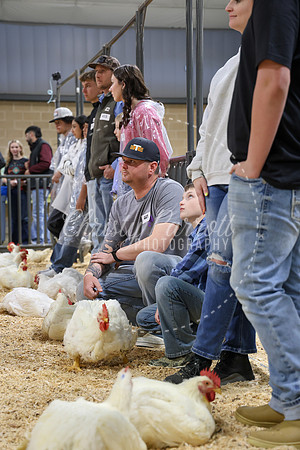 RCYPS26-Chicken-2223