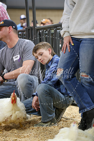 RCYPS26-Chicken-2224