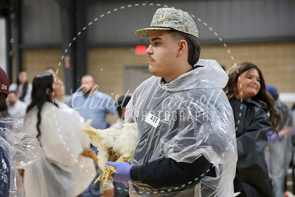 RCYPS26-Chicken-2226
