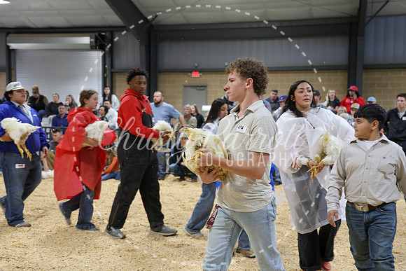 RCYPS26-Chicken-2229