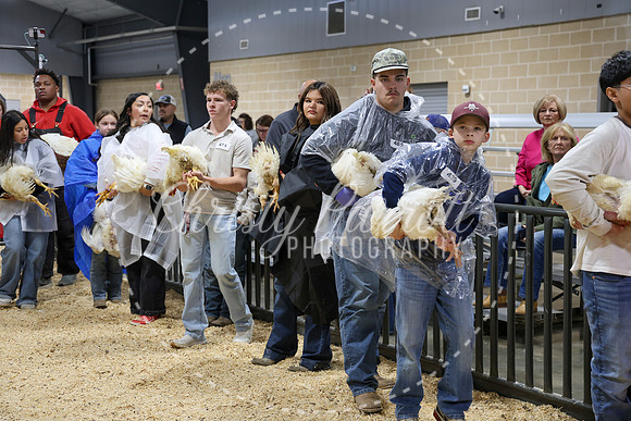 RCYPS26-Chicken-2230