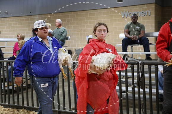 RCYPS26-Chicken-2234