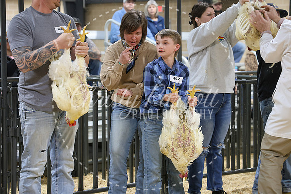 RCYPS26-Chicken-2245