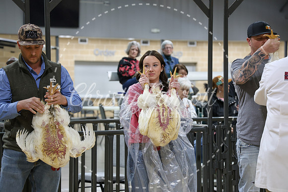 RCYPS26-Chicken-2243