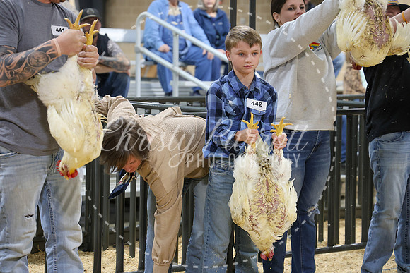 RCYPS26-Chicken-2246