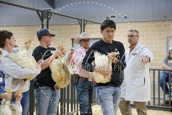 RCYPS26-Chicken-2247