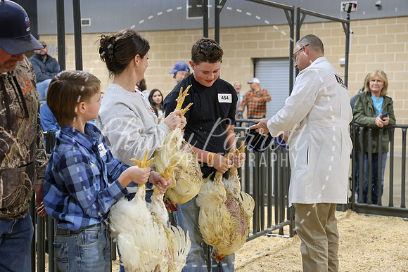 RCYPS26-Chicken-2253