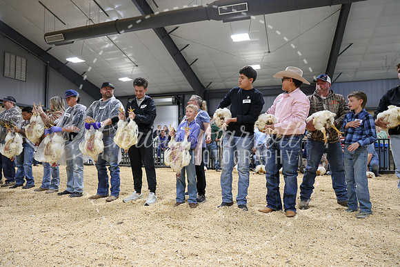 RCYPS26-Chicken-2263