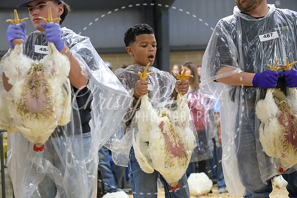 RCYPS26-Chicken-2267