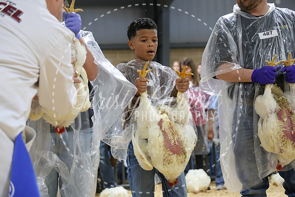 RCYPS26-Chicken-2266