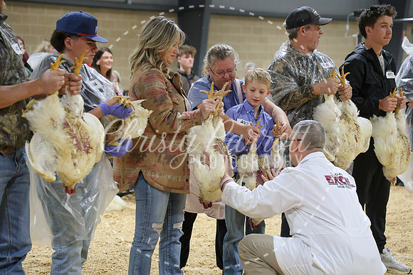 RCYPS26-Chicken-2268