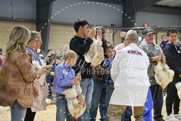 RCYPS26-Chicken-2269