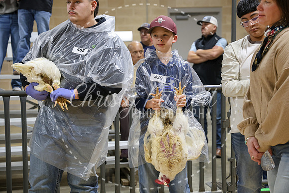RCYPS26-Chicken-2275