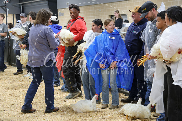 RCYPS26-Chicken-2279