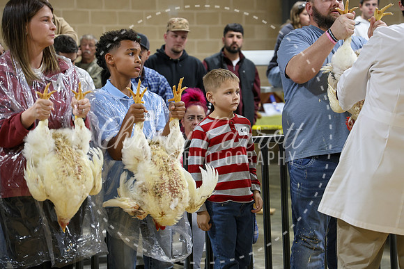 RCYPS26-Chicken-2284