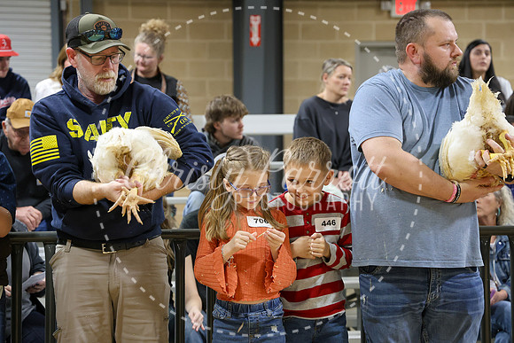RCYPS26-Chicken-2287