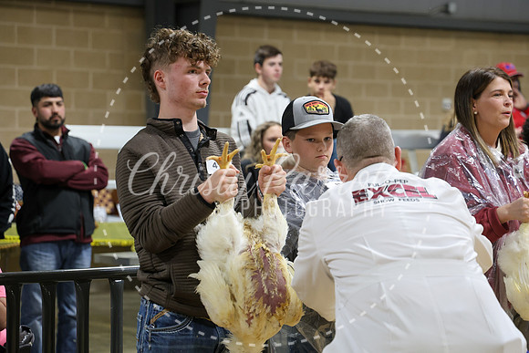 RCYPS26-Chicken-2290