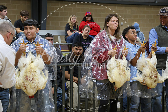 RCYPS26-Chicken-2295
